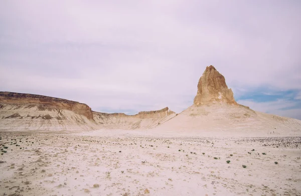 Picturesque View Dry Sandy Desert Valley Covered Green Plants Small — Stockfoto