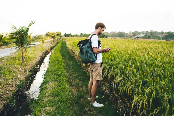 Side View Male Tourist Rucksack Chatting Cellphone While Standing Green — стоковое фото