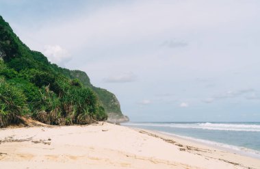 Açık deniz kıyısında, mavi gökyüzüne karşı yosunlarla kaplı büyük kayaların muhteşem manzarası.