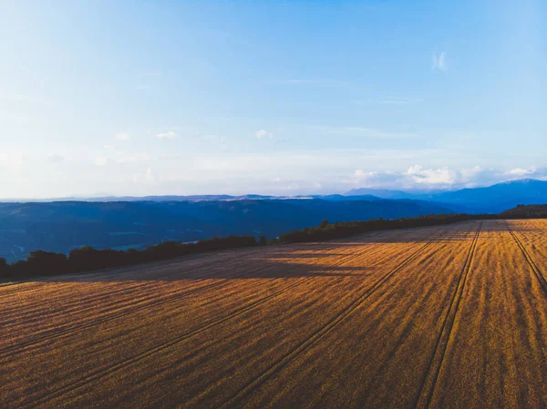 Drone View Agricultural Field Shadows Extended Ridges Clear Sky Morning — Stockfoto