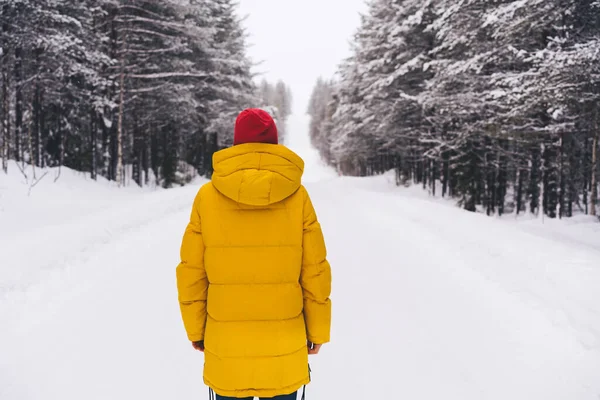 Norveç Kırsal Kesimlerinde Kış Günü Kozalaklı Ormanın Yakınındaki Karlı Yolda — Stok fotoğraf