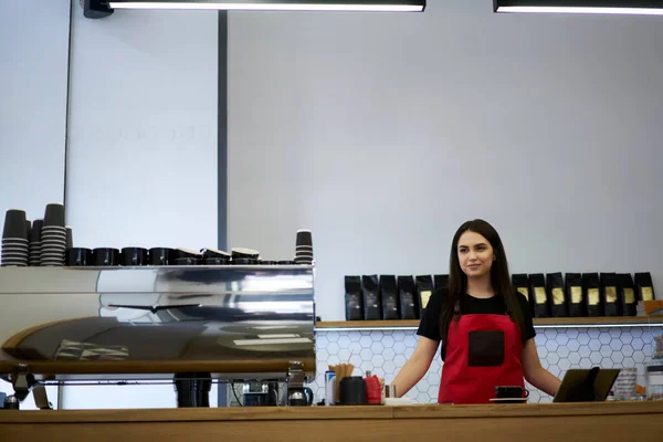 美しいブルネットの女性のレジ係が注文を受けてコーヒー飲料を作る準備ができている職場のバーに立っている 自信のある女性起業家パン屋でバリスタとして仕事を楽しんでエプロンでカフェの所有者 — ストック写真