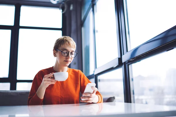 Low Angle Young Female Sitting Table Window Cup Coffee Browsing — Stock Photo, Image