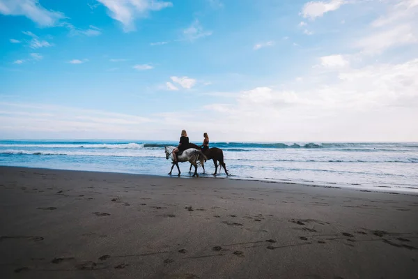 Back View Two Anonymous Women Riding Horses Sandy Seashore Waving — стоковое фото