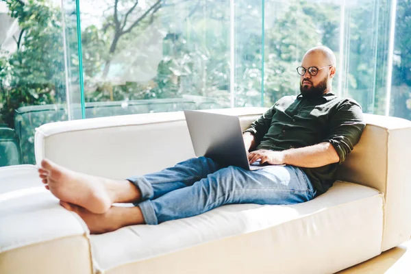 Concentrated Bearded Male Freelancer Sitting Sofa Comfortable Pose Browsing Laptop — Stock Photo, Image