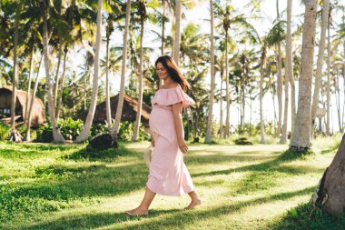 Güneş parkında çimenlerde çıplak ayakla yürürken tropikal bir ülkede tatil yapan son moda pembe elbiseli, çekici, hamile bir kadın.