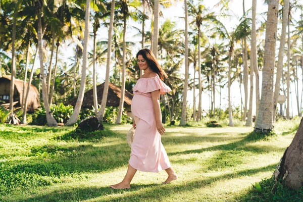 Güneş parkında çimenlerde çıplak ayakla yürürken tropikal bir ülkede tatil yapan son moda pembe elbiseli, çekici, hamile bir kadın.