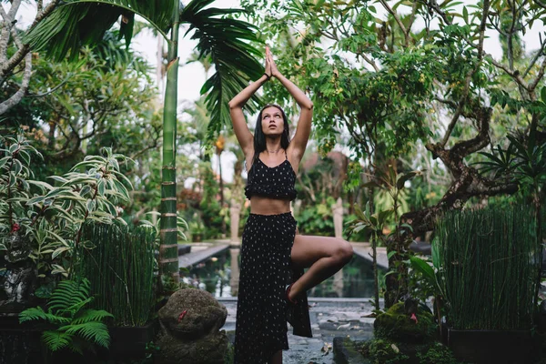 Slim Young Lady Casual Clothes Practising Yoga Pose Performing Tree — Fotografia de Stock