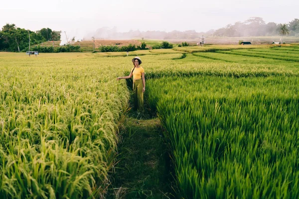 Vietnam Kırsal Kesimindeki Canlı Yeşil Pirinç Tarlaları Arasında Duran Sarı — Stok fotoğraf