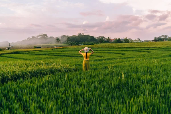 Back View Faceless Woman Standing Grassy Plantation Rice Admiring Beautiful — Stockfoto