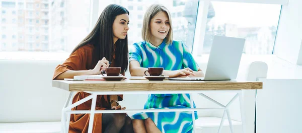 Jóvenes Alumnas Haciendo Deberes Usando Laptop Sentadas Mesa Con Tazas — Foto de Stock