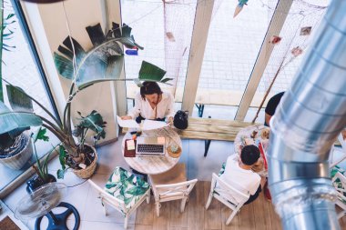 Kafeterya masasında oturmuş belgeleri ve iş stratejisini analiz eden yetenekli bir beyaz yönetici. 30 yaşında, modern dizüstü bilgisayarı olan, online uzaktan kumandalı profesyonel bir kadın.