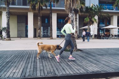 İnce tefek bir kız, deniz kıyısında gezinirken güzel bir köpeği gezdirmek için sabah vaktini harcıyor. Azimli bir koşucu, kırma köpekle koşuyor. Kıyı şeridindeki çoklu görev ve kardiyo eğitiminin keyfini çıkarıyor.