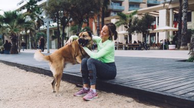 Sahilde tahta bir yolda otururken sıradan kıyafetlerle gezen ve sevimli köpekleri kucaklayan mutlu genç bir kadın.