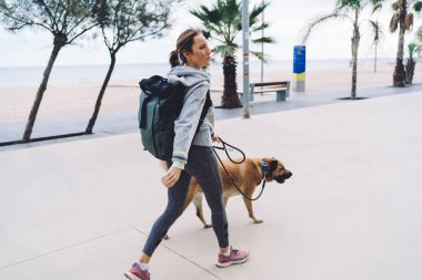Turistik sırt çantalı beyaz kadın gezgin morgel köpeğiyle dinlenmek için tatilin tadını çıkarıyor. Kıyı şeridi boyunca yürüyen evcil hayvan için gezinen tasmalı genç bir kadın.