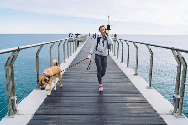 Portrait Cheerful Woman Enjoying Morning Walk Mongler Dog Using Roaming — стоковое фото