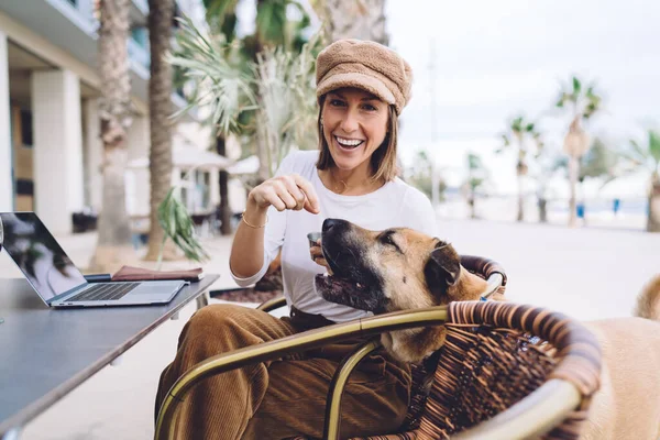 Portrait Cheerful Caucasian Female Enjoying Working Puppy Pet Friendly Cafe — стоковое фото