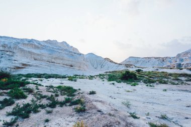 Arka planda bulutlu gökyüzünün altında kayalık oluşum aralığı olan kuru kumlu çöl bölgesinde yetişen nadir yeşil bitkilerin resimsel manzarası.