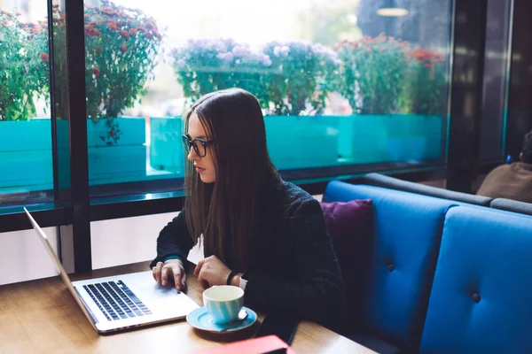 Serios Sex Feminin Freelancer Păr Lung Castaniu Așezat Masă Canapea — Fotografie, imagine de stoc