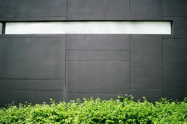 Exterior Contemporary Building Rectangular Window Green Plants Growing Gray Concrete — Stock fotografie