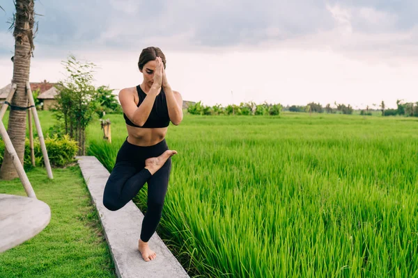 Muscular Female Yogi Practicing Balance Poses Morning Namaste Training Asian — ストック写真