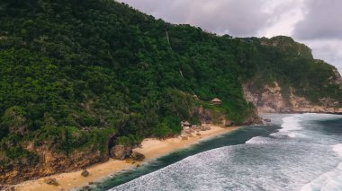 Gökyüzü altında fırtınalı yeşil ağaçlar olan taşlı sahil manzarasının yukarısından doğada gündüz vakti bulutlu havalarda