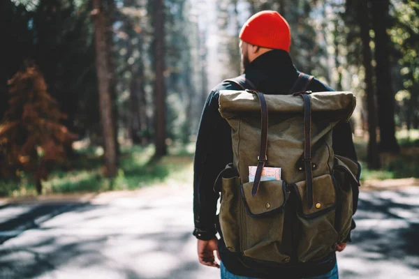 阳光明媚的日子里 穿着保暖衣服 头戴背包 站在森林里散步的大胡子男性旅行者的背影 — 图库照片
