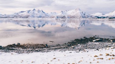 Norveç deniz suyuna yansıyan beyaz karla kaplı yüksek dağlı kayalık tepelerin nefes kesici kuş bakışı görüntüsü. Kışın Lofoten 'in nefes kesici panoramik fiyortları, doğanın sakin güzelliği. 