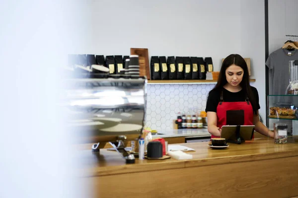 Skilled busy female waitress at bar in coffee shop near copy space area for advertising or text