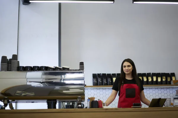 Schöne Brünette Kassiererin Steht Der Bar Arbeitsplatz Bereit Aufträge Erhalten — Stockfoto