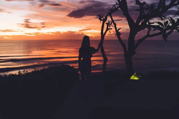 Back View Faceless Young Woman Touching Tree Looking Horizon While — Stockfoto