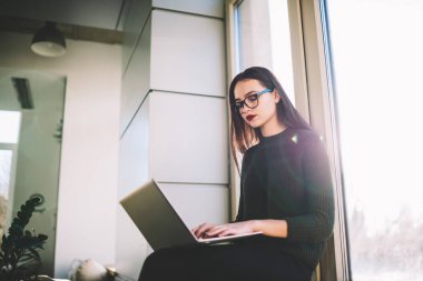 Gözlüklü ve günlük süveterli, parlak güneş ışığı altında oturup internette internette sörf yapan düşük açılı kız öğrenci.