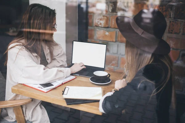 Bilgisayarla uzaktan çalışan ve çağdaş restoranda birlikte araştırma yaparken aynı masada oturan modaya uygun giyinmiş kadınların yan görüntüsü.