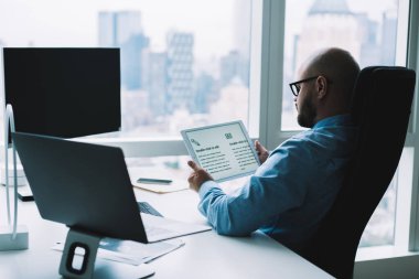 Tablet üzerine makale okuyan konsantre erkek girişimci yan görünümü bilgisayar ve dizüstü bilgisayarla ofis sandalyesinde oturan