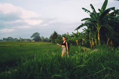 Sırt çantası ve günlük kıyafetlerle gülümseyen kadın gezgin yaz günlerinde Bali 'de pirinç tarlasında elinde akıllı telefonla geziniyor.
