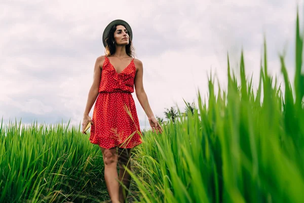 Charming Young Lady Casual Summer Dress Walking Green Grass Looking — Fotografia de Stock