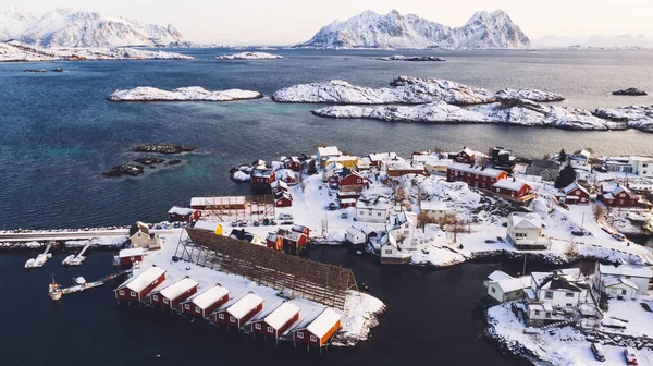 Häpnadsväckande Fåglar Blicken Över Lofoten Fiskeby Med Rött Traditionella Norska — Stockfoto