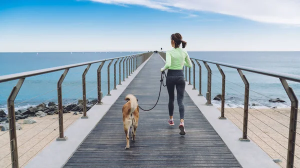 Вид Сзади Спортивную Женщину Спортивной Одежде Бегающую Собакой Вдоль Пустого — стоковое фото