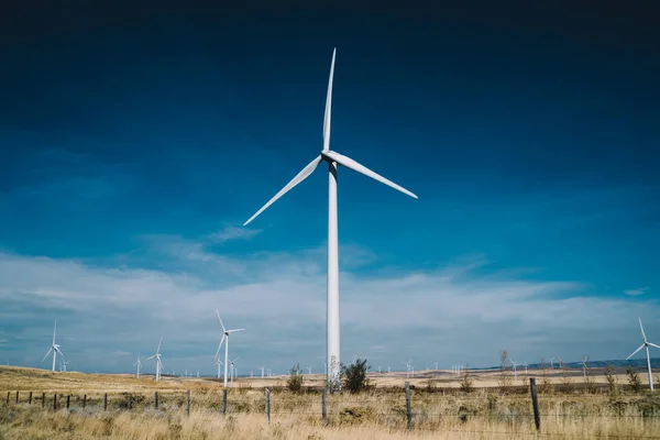 Low Angle Empty Dry Field Windmills Located Countryside Blue Cloudless — Zdjęcie stockowe