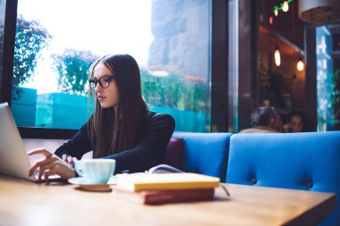 Gözlüklü, genç, odaklanmış kadın bir işçi kafenin ahşap masasında oturuyor ve yeni bir proje üzerinde çalışırken dizüstü bilgisayarda sörf yapıyor.
