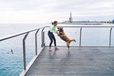 Şirin köpekli neşeli bir kadın açık hava oyununda oynamak ve antrenman yapmak için boş vakitlerin tadını çıkarıyor.