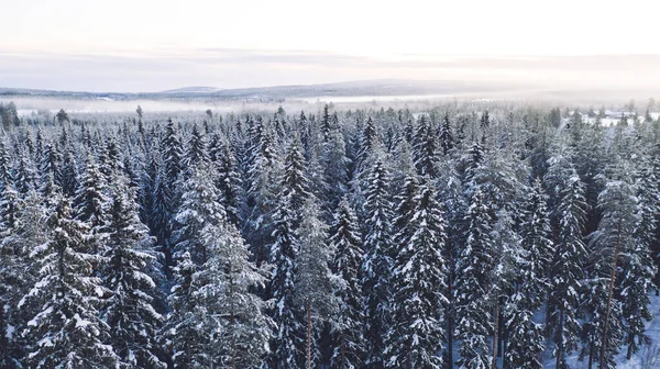 Birds Eye View Famous Natural Landmark Riisitunturi Winter Season Sunset — Stock Photo, Image