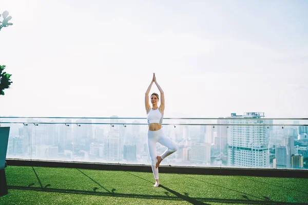 Young Smiling Slender Female Sport Outfit Practicing Yoga Taking Vriksasana — Foto Stock