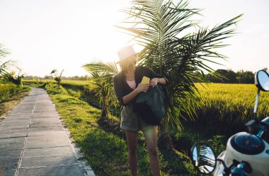 Güneş tarafından aydınlatılan bayan turist cep telefonu teknolojisini seyahat çantasına koydu. Tropik bir yolun kenarında duruyor ve kendi eşyalarıyla ilgileniyordu.