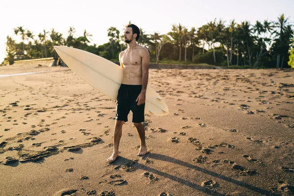 全身上下都是浓密的年轻大胡子男子运动员 赤身裸体站在沙滩上 冲浪板上 欣赏热带度假胜地的落日 — 图库照片