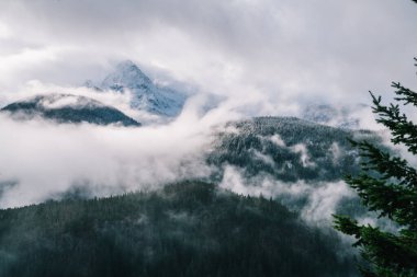 Amerika 'nın dışında kışın gri gökyüzüne karşı çimenli arazinin yamacında bulunan görkemli insansız hava aracı manzarası