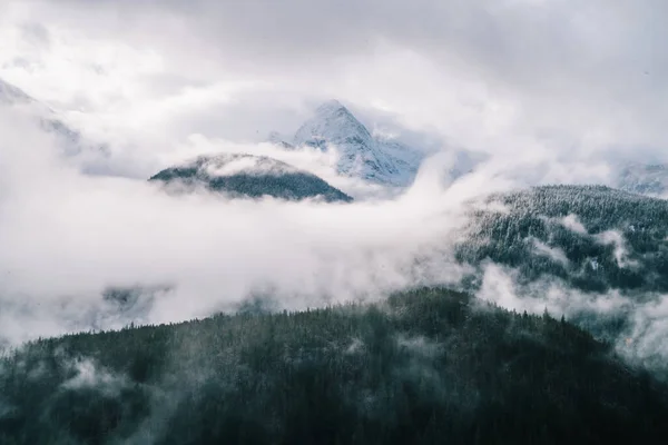 Picturesque Aerial View Mountains Peaks Covered Thick Mist Floating Forest — стокове фото