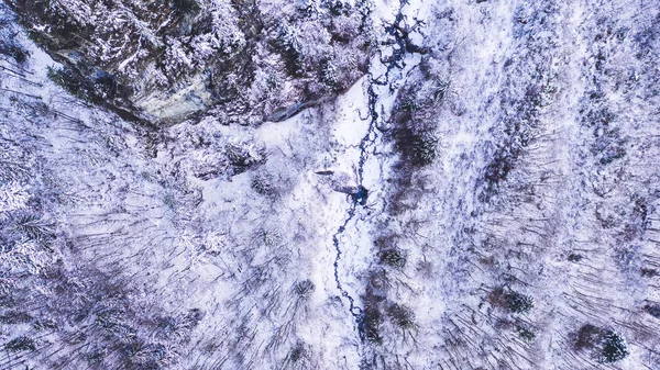 Horní Pohled Zamrzlý Potok Blízkosti Smrků Jedlí Pokrytý Chocholem Zasněženém — Stock fotografie