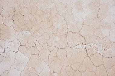 Kuru ve çorak çöl toprağının kabataslak arka planından ve Ustyurt Doğa Koruma Alanındaki yoğun çatlaklardan.