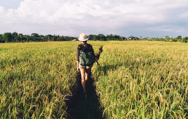 Sırt Çantalı Zayıf Kadın Tarımının Pirinç Tarlalarının Ortasında Yürüyüp Uluslararası — Stok fotoğraf